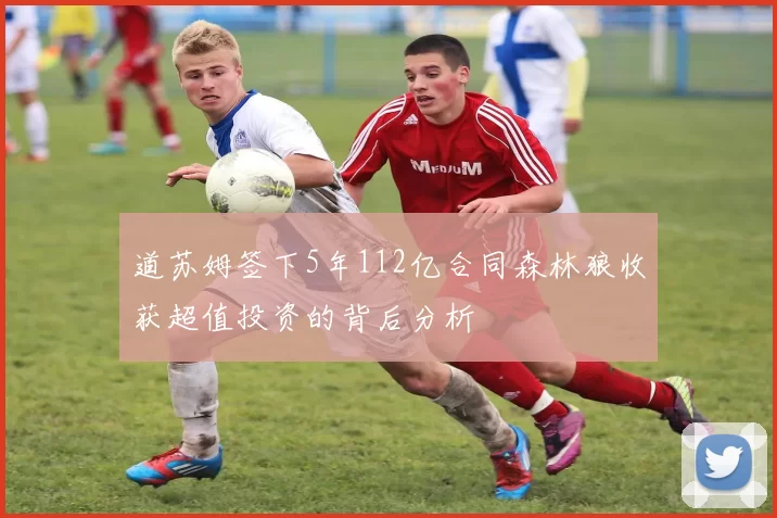 道苏姆签下5年112亿合同森林狼收获超值投资的背后分析
